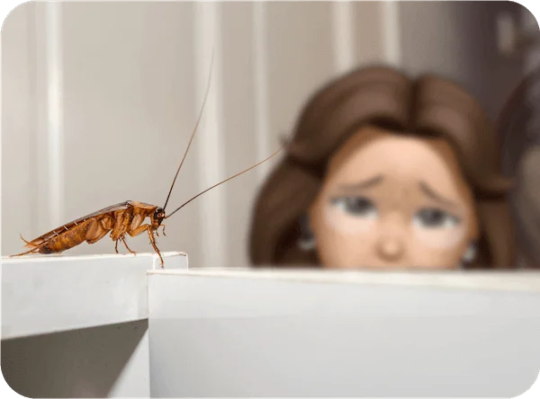 Dedetização-de-Baratas-RJ-1 (1) (1)