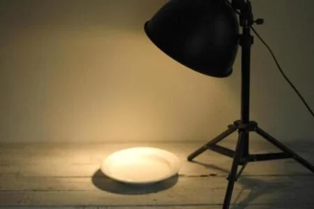 Como acabar com pulgas