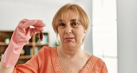 Barata transmite doenças