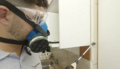 Preço dedetização de aranhas