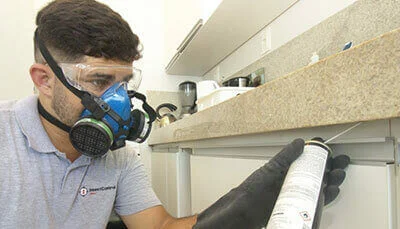 Como acabar com infestação de baratas francesinhas