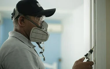 descupinizacao-cupins-sub-1 O que é bom para matar cupim