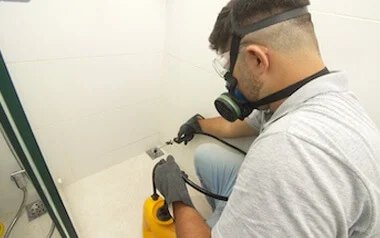 Como eliminar lacraias